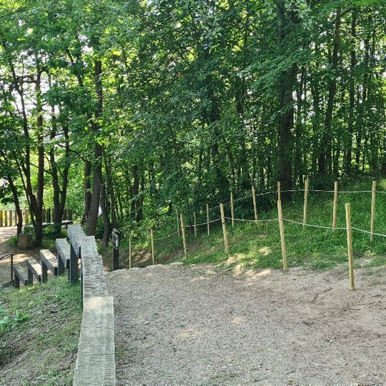 Dviem apsauginėm kuolų eilėm apjuostas žole apsėtas nelegaliai numintas takas Kalnų parke.