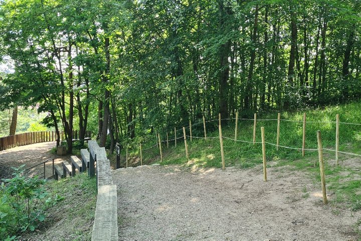Dviem apsauginėm kuolų eilėm apjuostas žole apsėtas nelegaliai numintas takas Kalnų parke.