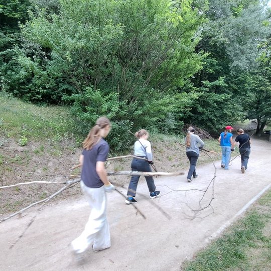 Penkios mergaitės užsisukusios neša šakas į bendrą krūvą.