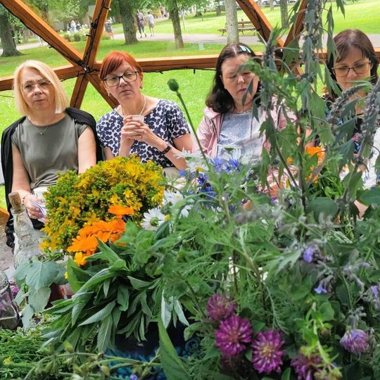 Per vaistažolių viršūnes pavaizduotos moterys, sėdinčios Vilniaus pilių kupole.