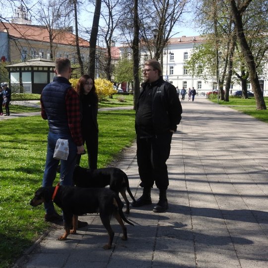 Iliustracija