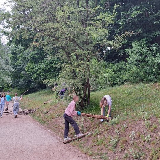 Septintokai, dirbdami komandoje, tvarko Kalnų parko teritoriją ir renka šakas.