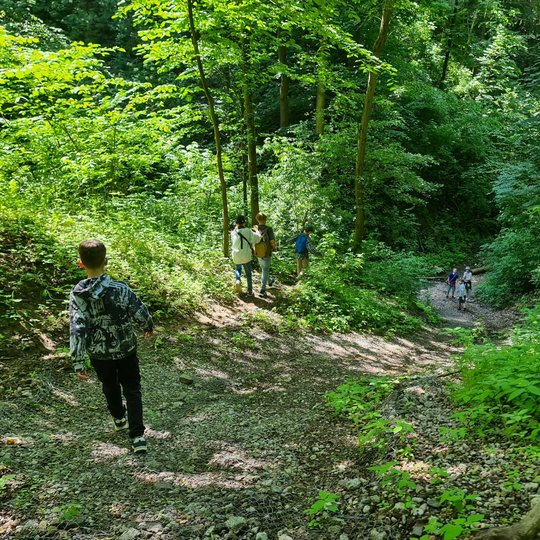 Vaikai eina žemyn Didžiąja griova.