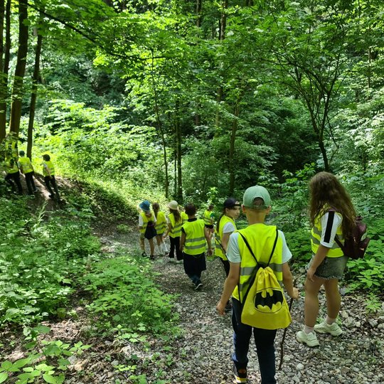 Vaikai keliauja per Kalnų parką, Didžiosios griovos kairiąja atšaka.