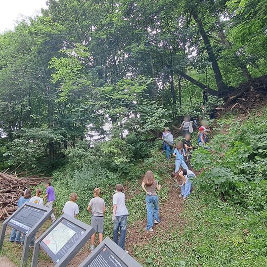 Mokiniai sustojo vorele, perdavinėdami vieni kitiems šakas. Taip dirbti lengviau.