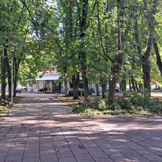 Supjautos nuovirtos liko gulėti Sereikiškių parko  vejoje.