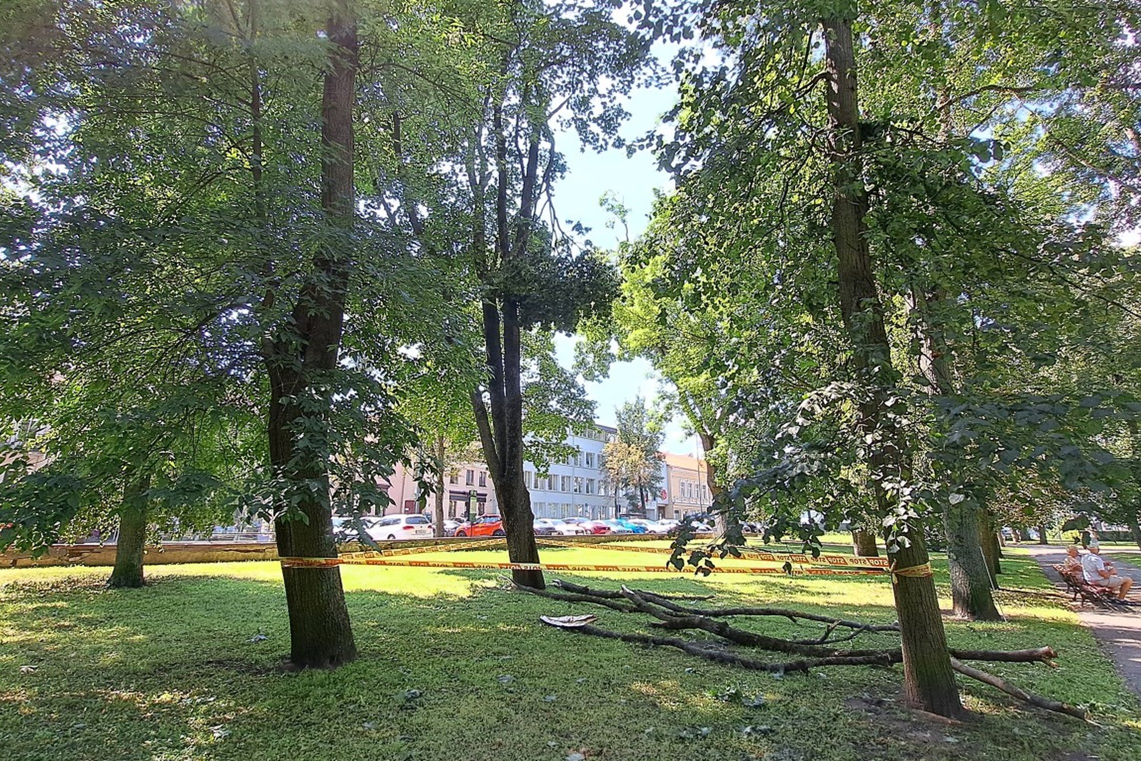 Sereikiškių parko pievoje guli nukritę šakos, viena kabo medyje. Teritorija aptverta stop juosta.