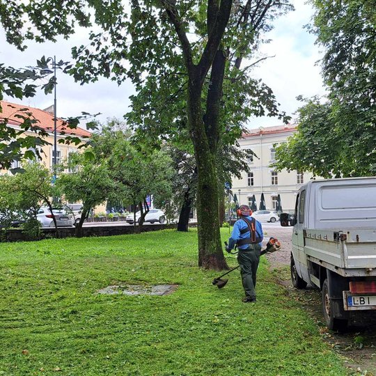Teritorijos tvarkytojai pjauna veją trimeriais.