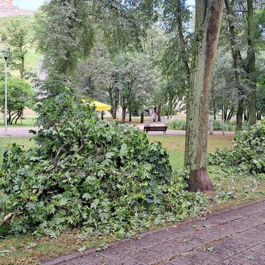 Dvi šakų krūvos Sereikiškių parke.