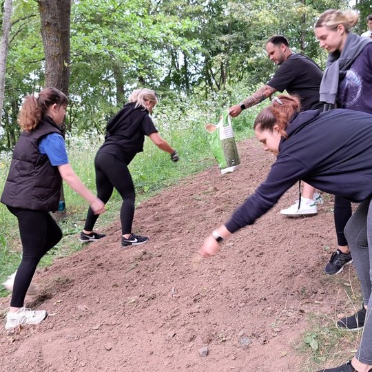 Savanoriai sėja veją barstydami sėklas iš maišo, sustoję aplink taką iš abiejų pusių.