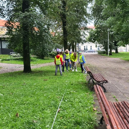Matuojama Sereikiškių parko veja, ant vejos ištiesus ruletę.