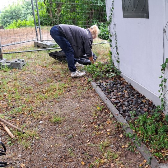 Ecoservice darbuotojai ravi piktžoles.