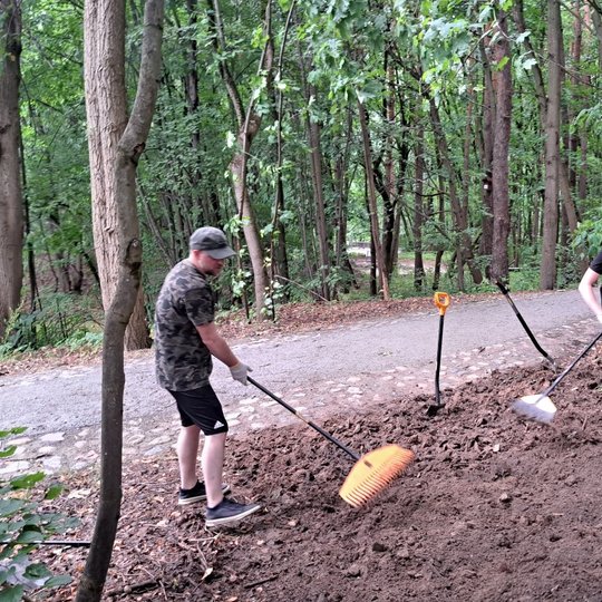 Savanoriai purena žemę grėbliais, ją lygina ir ruošia sėjimui.