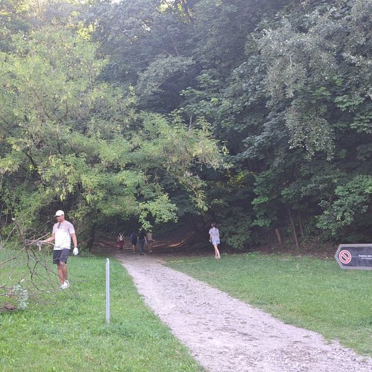 Išėjus iš Didžiosios griovos, savanoriai šakas meta į vieną krūvą ant pievos.