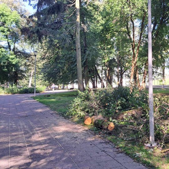 Supjautos nuovirtos liko gulėti Sereikiškių parko  vejoje.