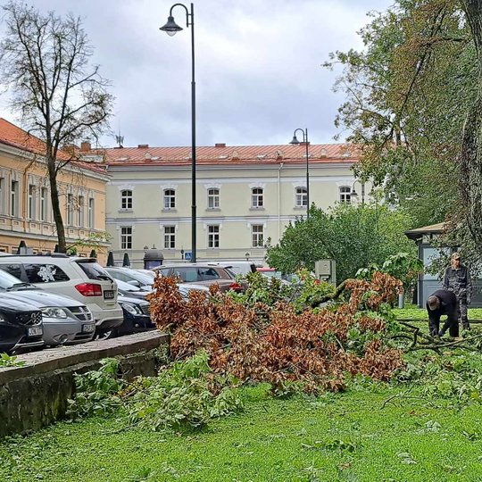Teritorijos tvarkytojai tempia nukritusias medžių šakas traktoriumi.