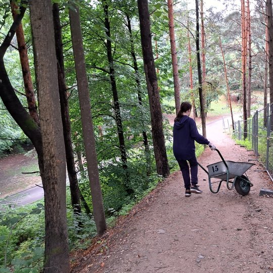 Savanoris Aleksandras veža karutį nuo Trijų Kryžių kalno.