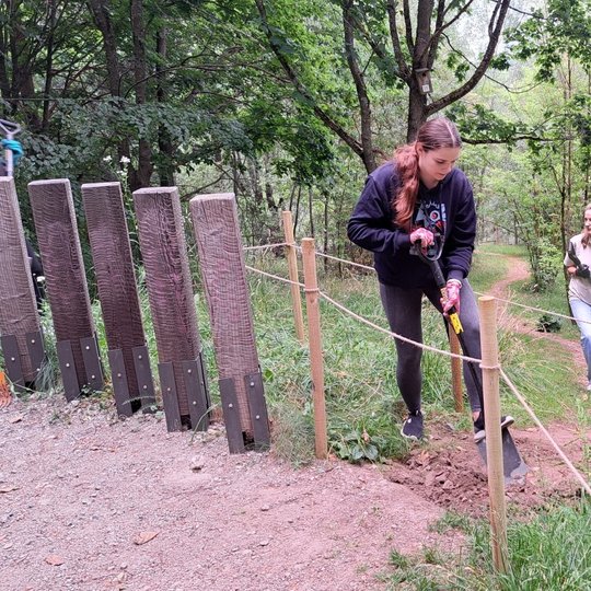Savanorė kimba į kastuvą ir pradeda žemės purenimo darbus.