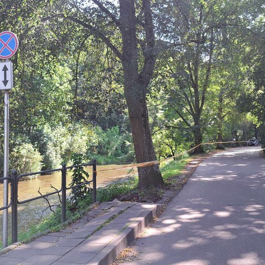 Stop juosta, ištiesta palei Trispalvės alėją, nuo medžio iki medžio. Tolumoje matosi nelegaliai pastatytas automobilis.