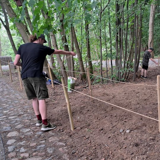Du vyrai sėja vejos sėklas ant išpurentos ir aptvertos žemės ploto.