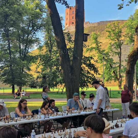 Būrys žmonių sėdi Sereikiškių parke prie šachmatų stalų.