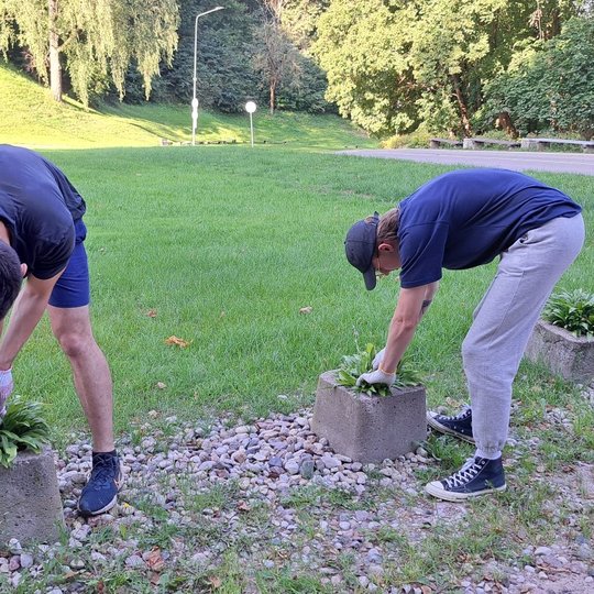 Du SEB banko darbuotojai sodina gėles į betoninius lauko vazonus Kalnų parke.
