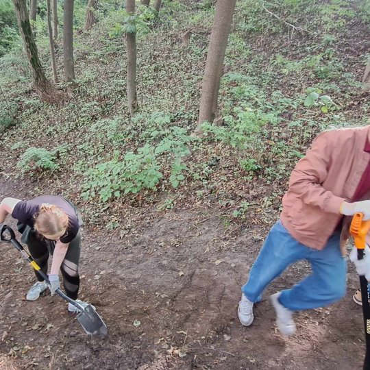 Matosi, kaip šeši savanoriai, šlaite sustoję vorele, kastuvais purena žemę.