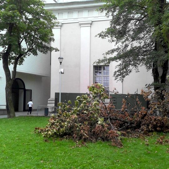 Iliustracija