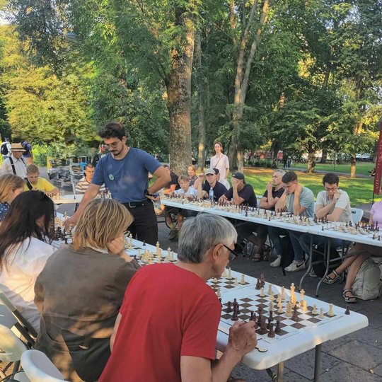Nuotraukoje matome stalus, kurie yra sustatyti U raidės forma, o prie tų stalų sėdi šešiolika žmonių, priešais kuriuos yra padėtos šachmatų lentos. Stalų viduryje stovi vienas vyras, kuris žaidžia šachmatais su vienu iš tų šešiolikos žmonių. Fone matosi p