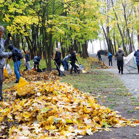 Savanoris grėbia rudeninius lapus į vieną didelę krūvą, kiti savanoriai ateina jų išnešti su dideliu maišu