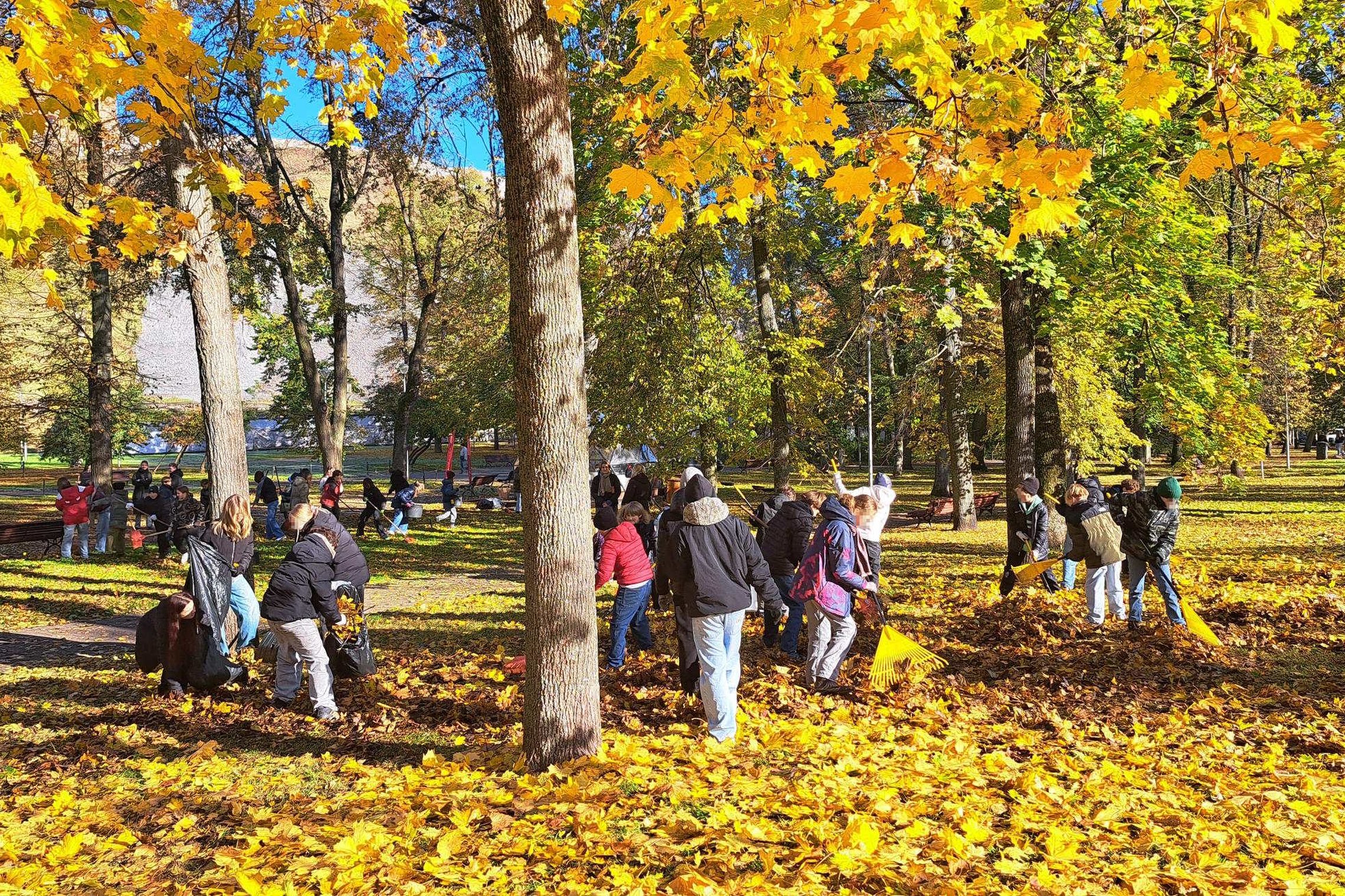 Mokiniai rudeniniame parke grėbliais šluoja geltonus lapus ir buriasi į grupes tarp medžių.