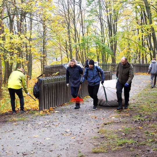 Savanoriai tempią didelį maišą, pilną medžių rudeninių lapų. Kitas savanoris lapus grėbia