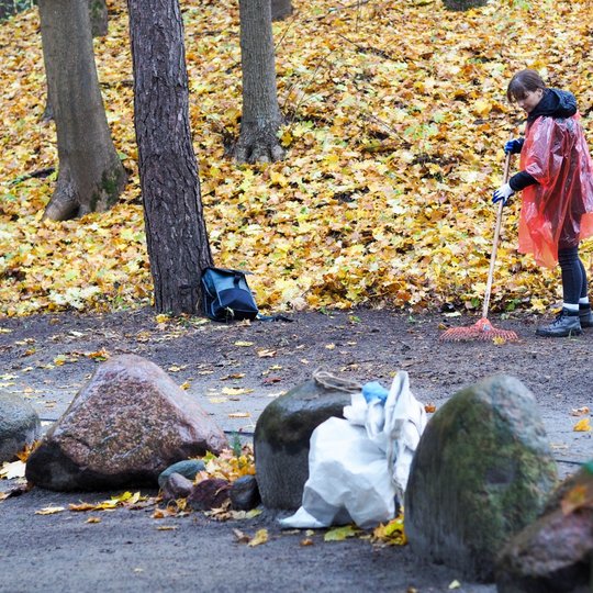 Savanorė lyjant lietui grėbia lapus Trijų Kryžių klano centrinėje dalyje, riedulių instaliacijos aplinkoje