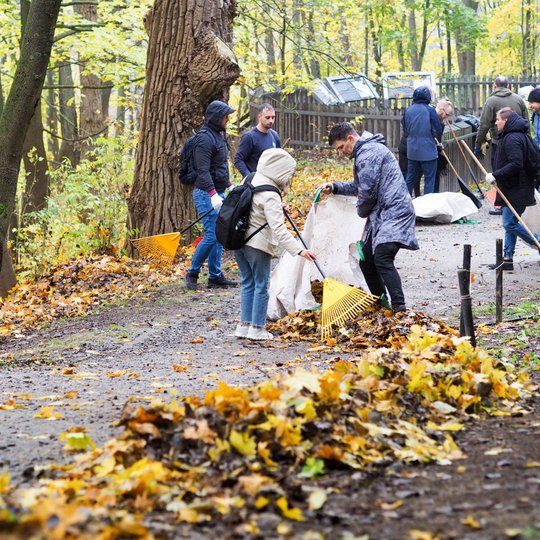 Savanoriai Trijų Kryžių kalne esančiame pėsčiųjų take sugrėbtus lapus krauna į didelį maišą