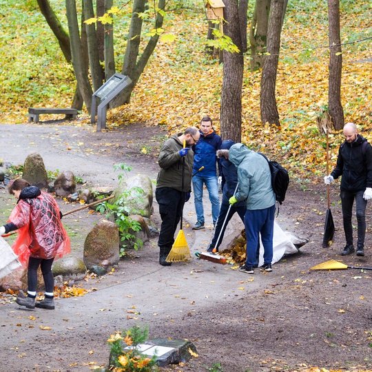 Žmonės grėbia lapus Trijų Kryžių kalno centre, krauna sugrėbtus lapus į maišus išnešimui