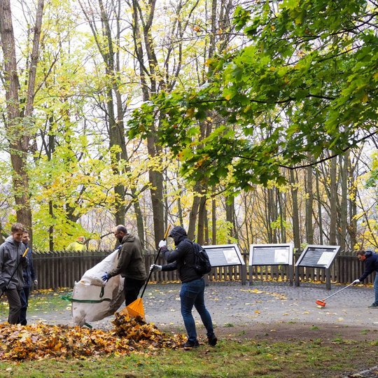 Savanoriai Trijų Kryžių kalno apžvalgos aikštelėje sugrėbtus medžių lapus ruošiasi krauti į maišą. Kitas savanoris šluoją apžvalgos aikštelėje likusius pavienius lapus