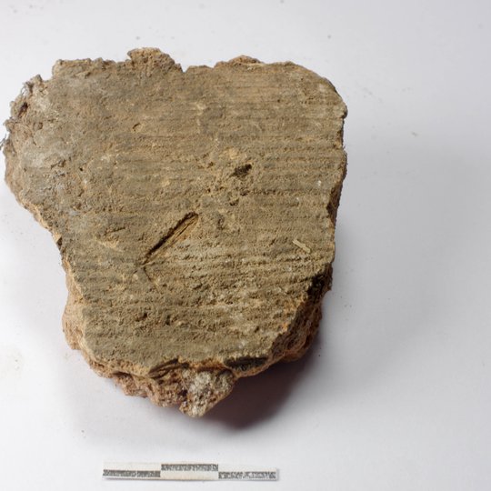 Iliustracija