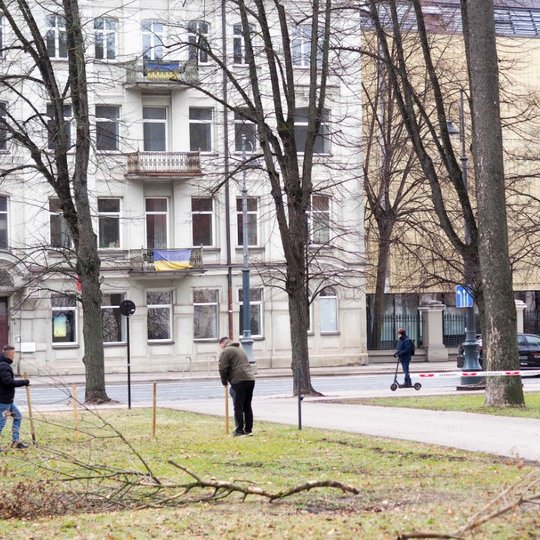 Iliustracija