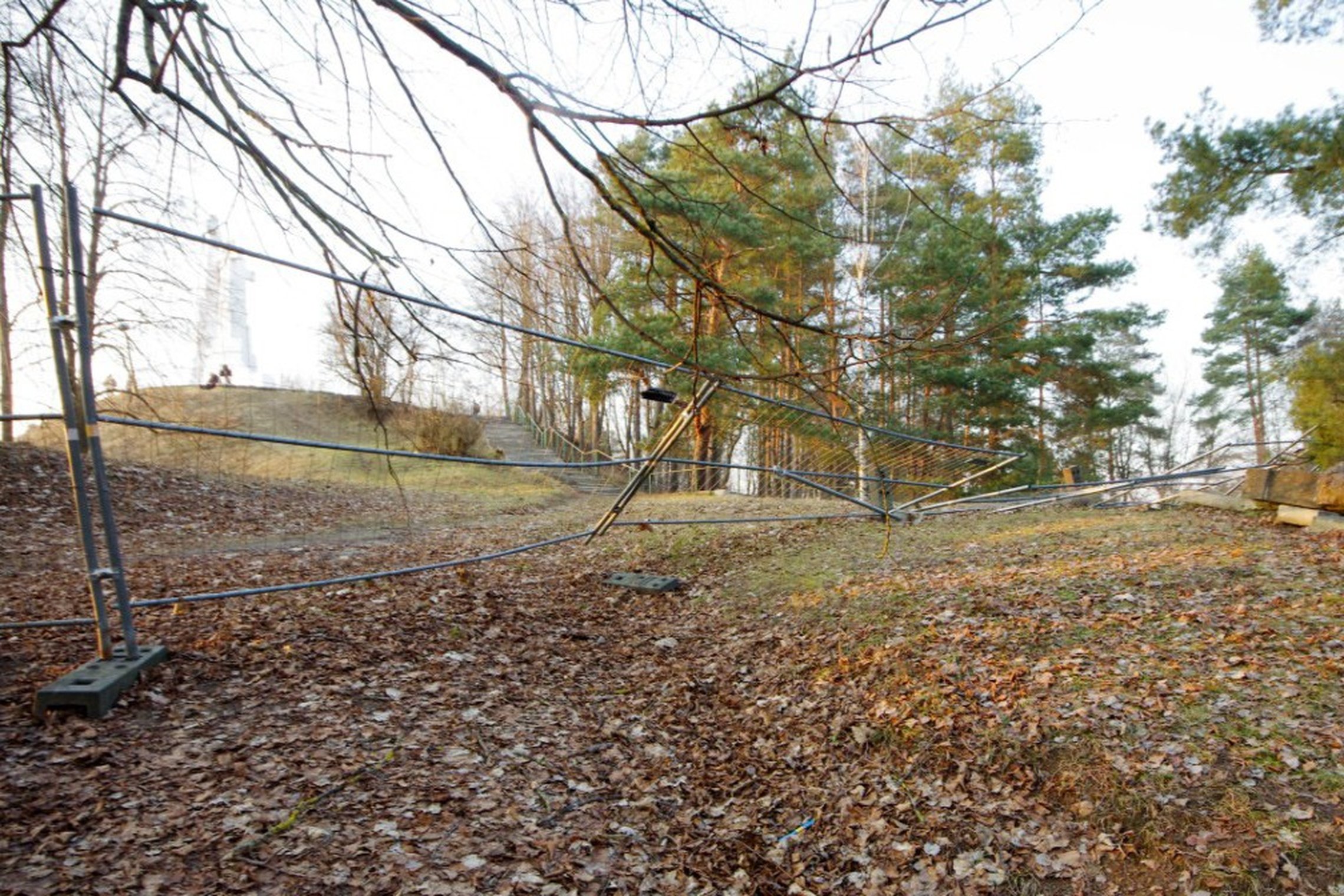 Nugriuvusi laikina tvora miškingoje vietovėje su nukritusiais lapais, fone matomas Trijų Kryžių paminklas ir laiptai vedantys į kalną Vilniaus pilių teritorijoje.