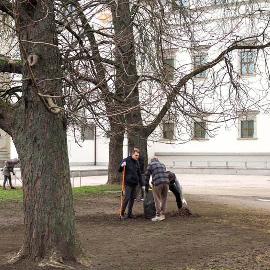 Iliustracija