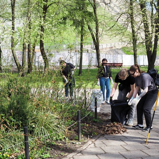Grupė savanorių tvarko parką – renka lapus ir šiukšles, dėvi apsaugines pirštines, naudoja grėblius. Aplink žaliuojantys medžiai ir krūmai rodo pavasario sezoną.