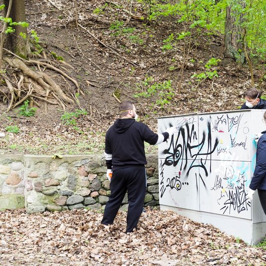 Trys žmonės su apsauginėmis kaukėmis valo grafičiais ištepliotą elektros spintą miško pakraštyje. Aplink matyti akmenų siena, rudeniniai lapai ir galingos medžių šaknys.