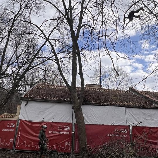Iliustracija