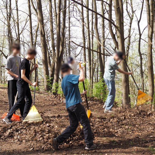 Grupė paauglių grėbia lapus miške, naudodami ryškius plastikinius grėblius. Aplink – pavasariniai medžiai ir saulėta diena.