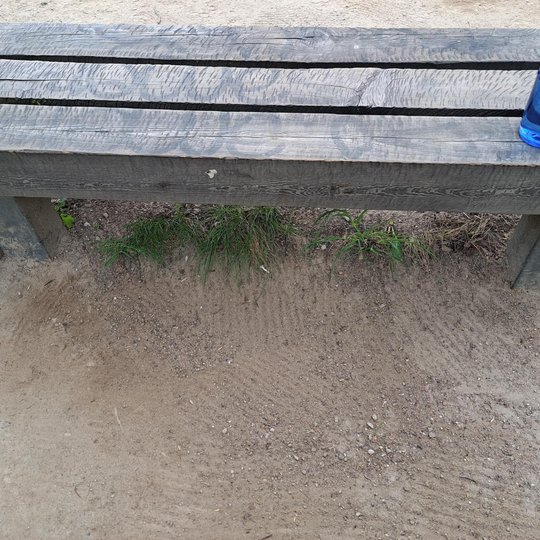 Medinis suolas ant žemės, ant kurio stovi mėlynas vandens buteliukas; po suolu auga šiek tiek žolės ir ideali tvarka - nei vienos šiukšlės - žmonės surinko aplink suolą besimėtančias nuorūkas.