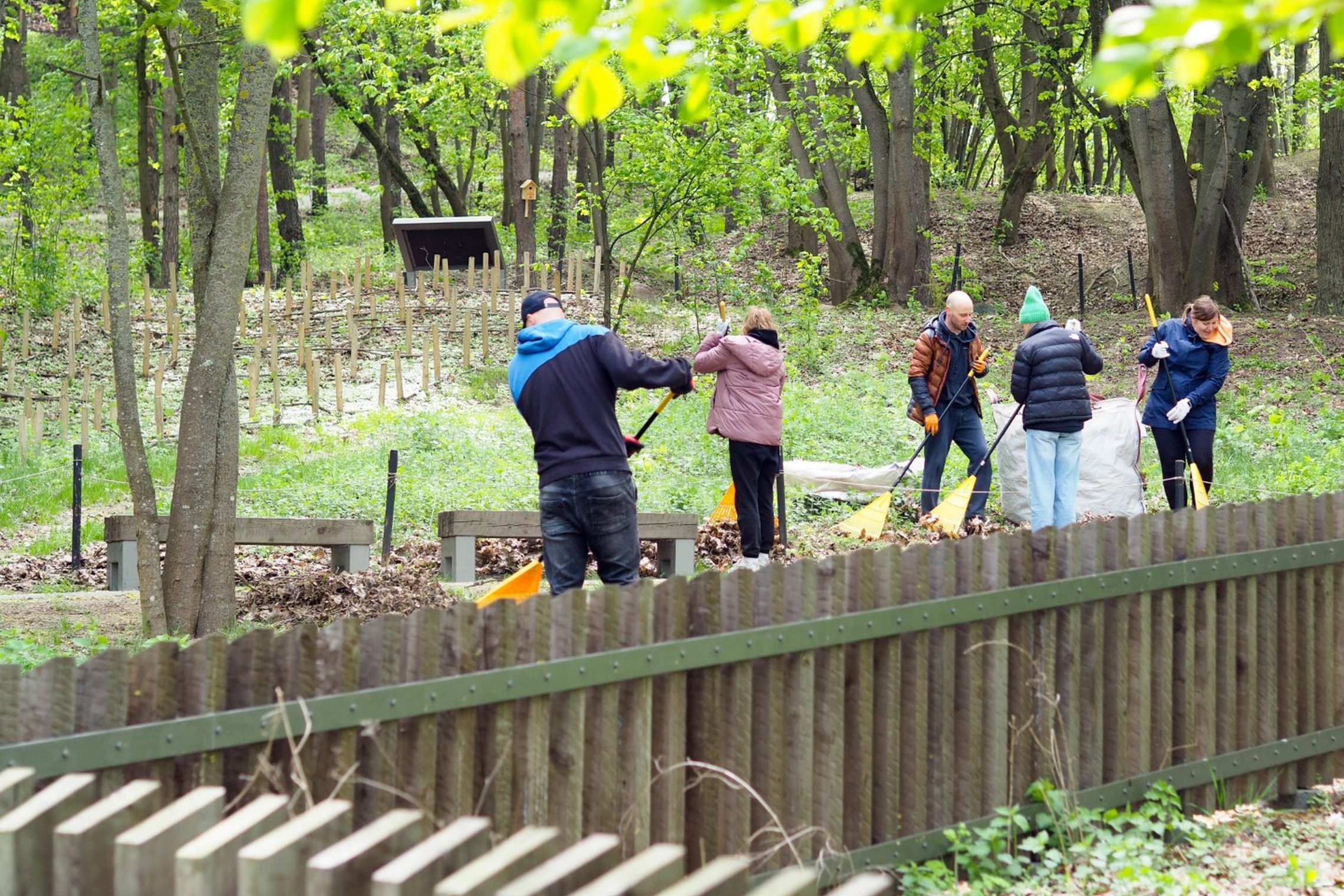 Grupė savanorių grėbia lapus ir tvarko teritoriją prie medinių kuoliukų tvoros, apsupto medžių ir žalumos. Priekyje matomas medinis tvorelės fragmentas.