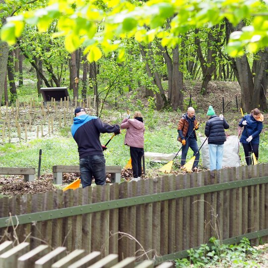 Grupė savanorių grėbia lapus ir tvarko teritoriją prie medinių kuoliukų tvoros, apsupto medžių ir žalumos. Priekyje matomas medinis tvorelės fragmentas.