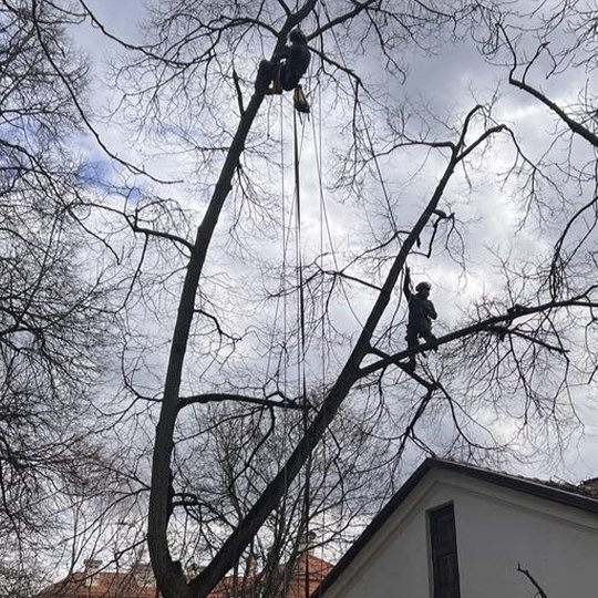 Iliustracija