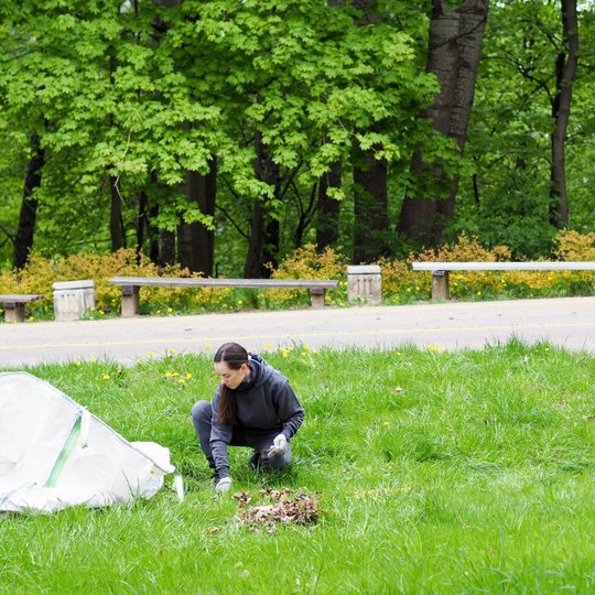 Moteris klūpo ant žolės ir rankomis krauna lapus į krūvą šalia didelio balto maišo. Aplink ją matyti suoleliai, medžiai ir žydintys geltoni gėlių krūmai.