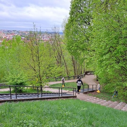 Nuotraukoje grupė dirbančių žmonių su grėbliais. Jie grėbia lapus aplinkoje panašioje į mišką.